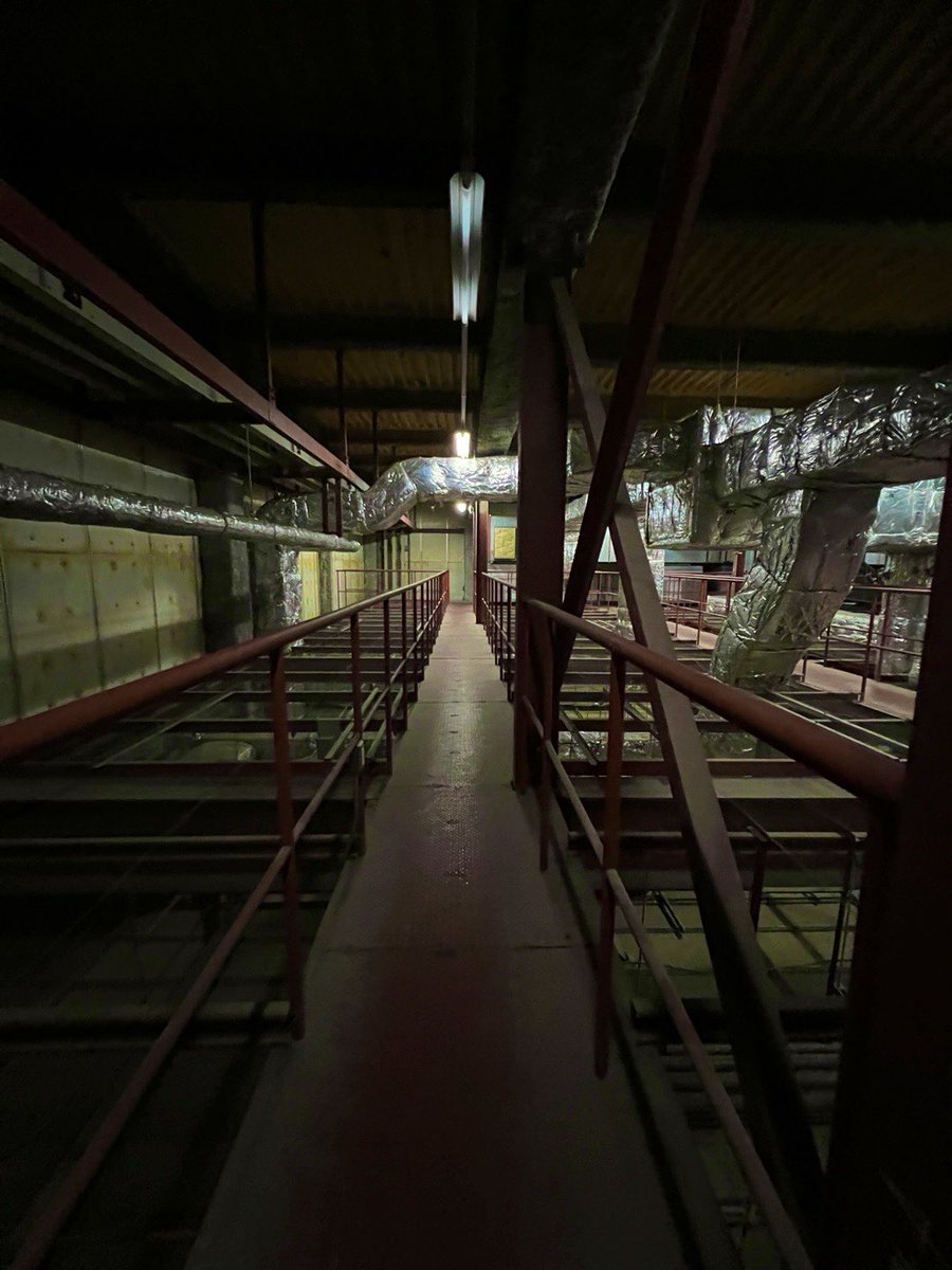 京都下鴨茶論🦆 tweet media