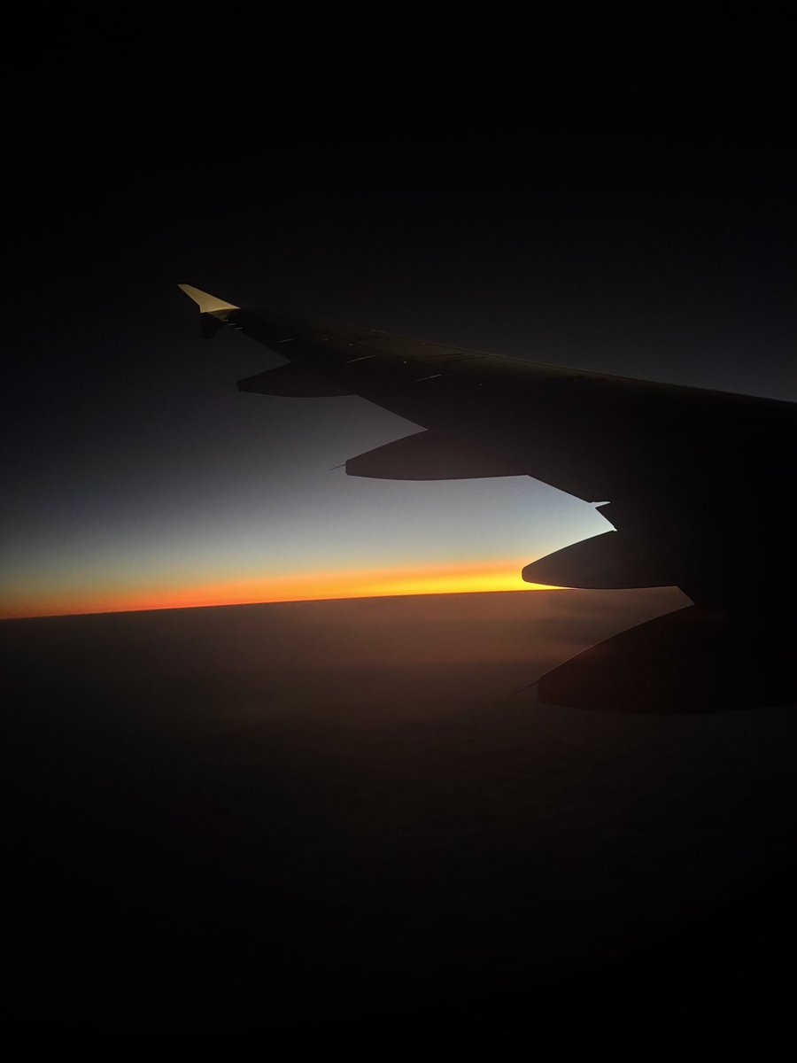 CryptoMonica tweet media