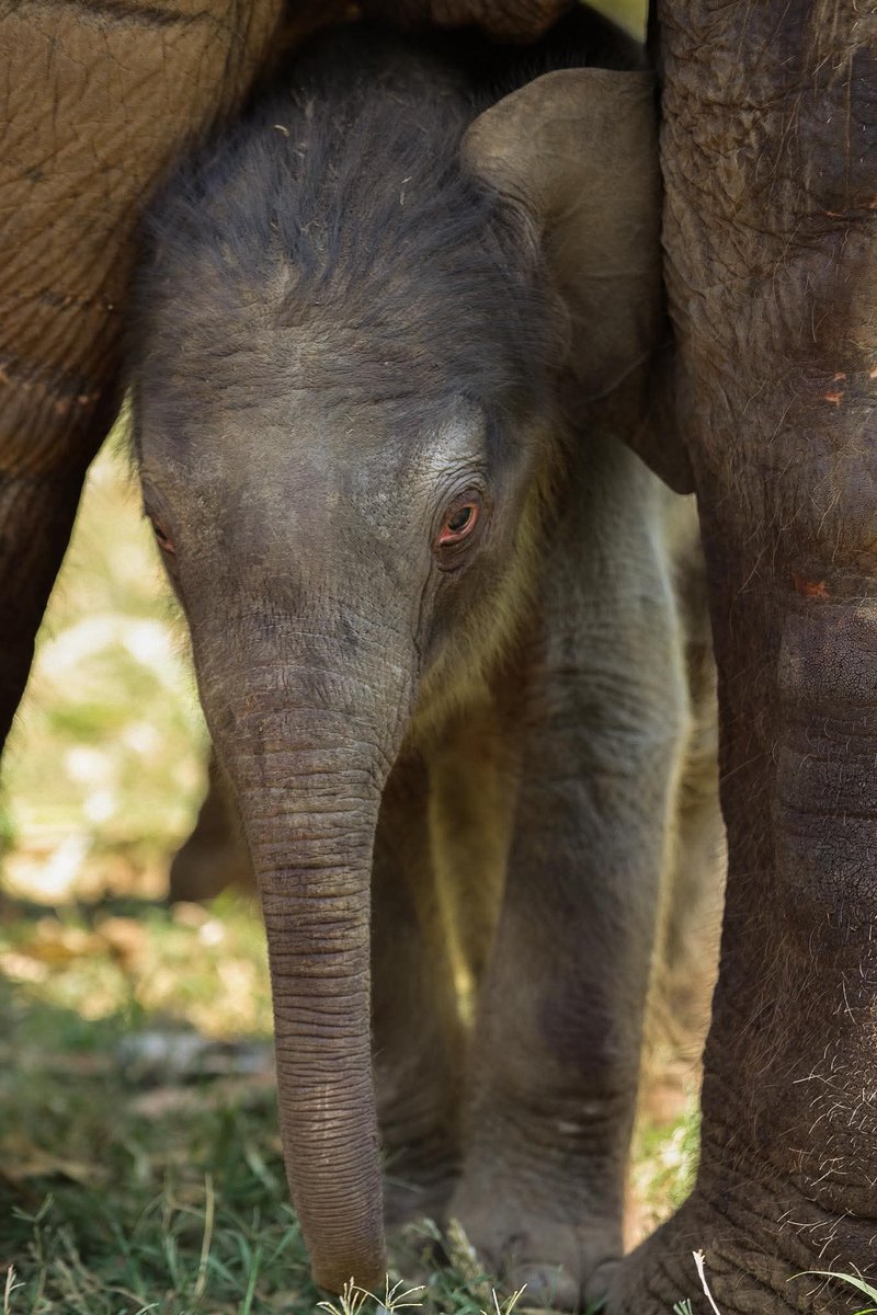 🕊ลมใต้ปีก🪶 (Fan Account) tweet media