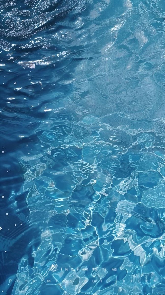 blossom. tweet media