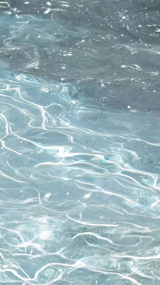 blossom. tweet media