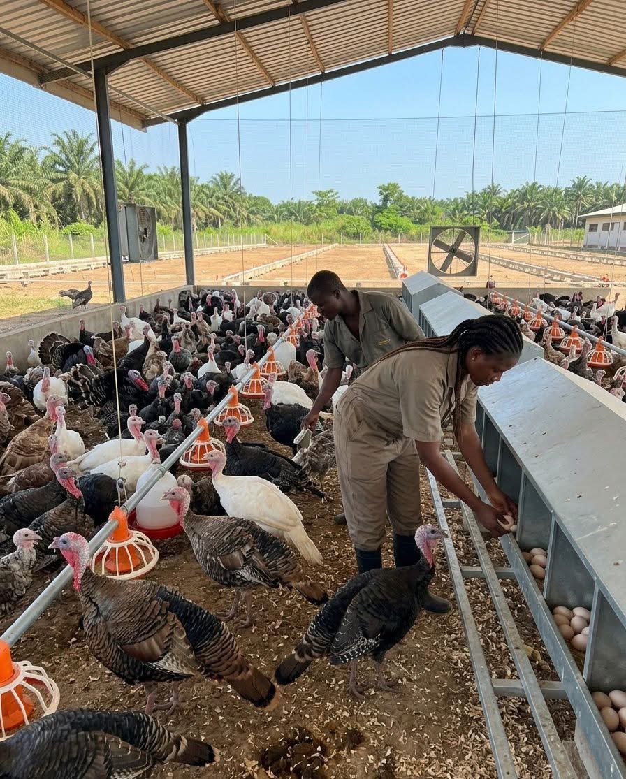 Kwizera eric 🇷🇼 tweet media