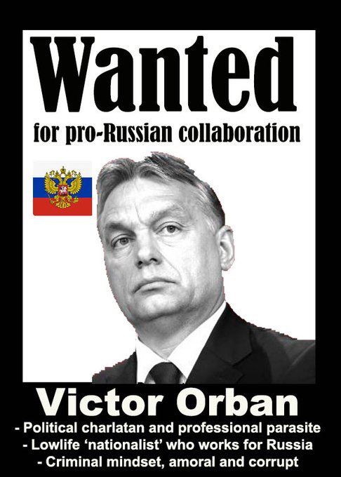 Rimona🇺🇦🇩🇪🇱🇹🇺🇸 tweet media