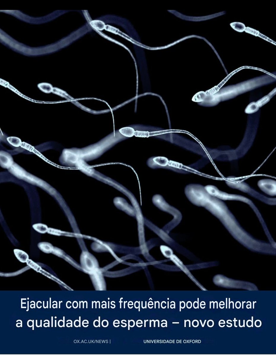 LORD NEWS BRASIL 🇧🇷 tweet media