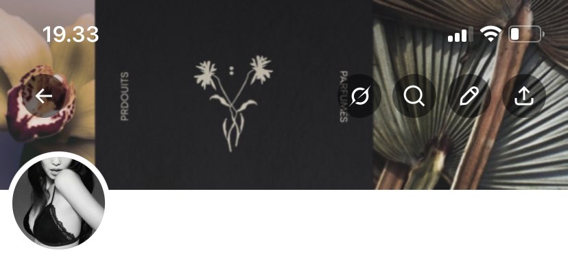 𝐂𝐚𝐦𝐞𝐥 tweet media