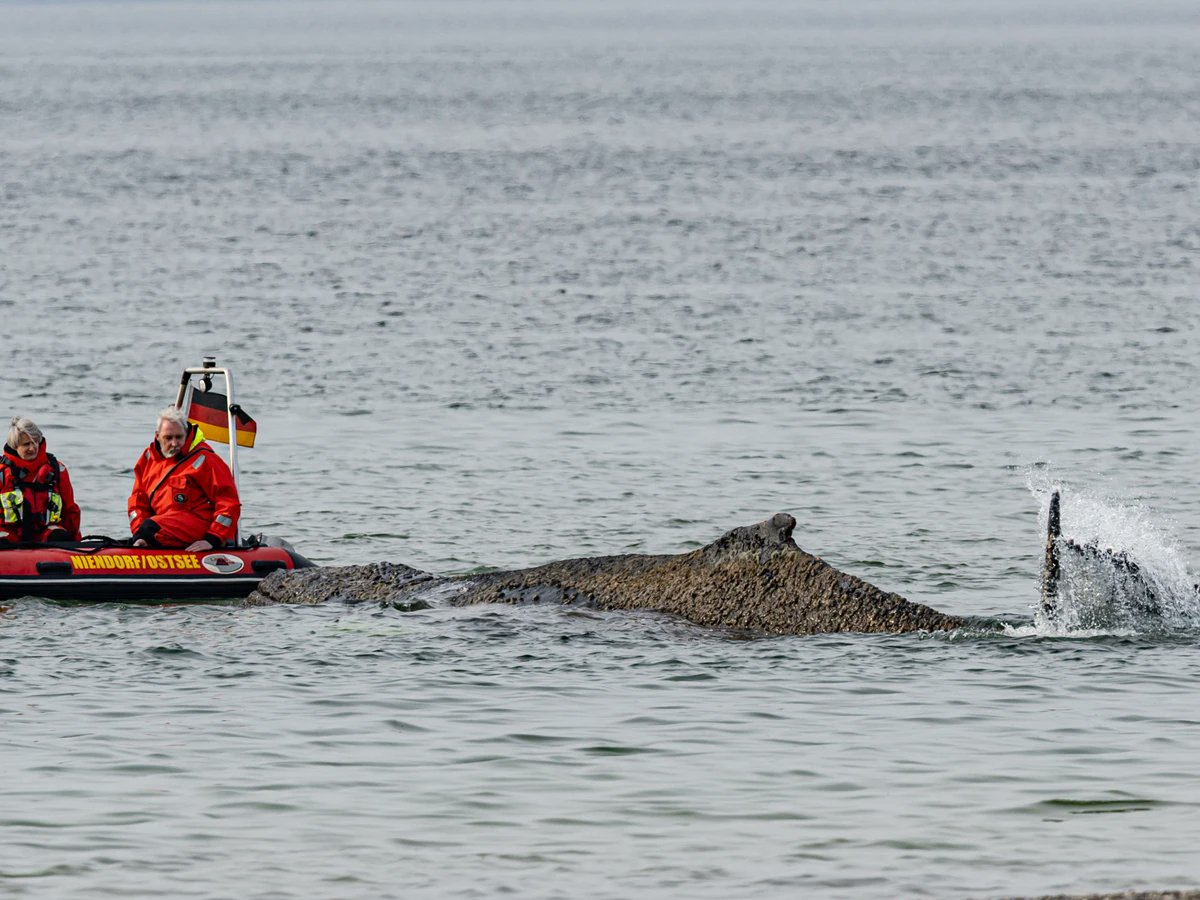 Franziska 🎗️🇪🇺 tweet media