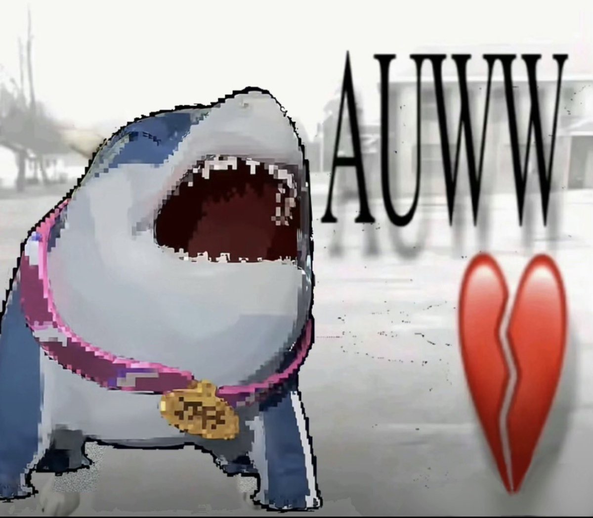 Joshua Yo Dog (Val's Best Friend) tweet media