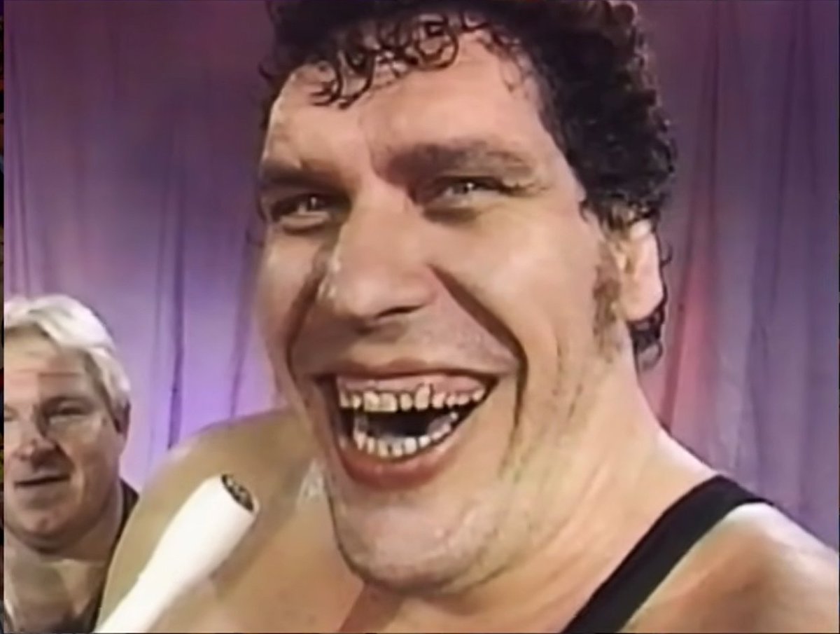 Joe Marotta tweet media