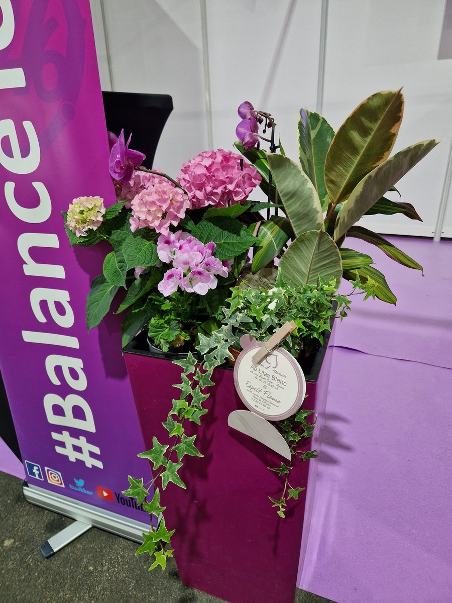 BOUCHONS 276 tweet media