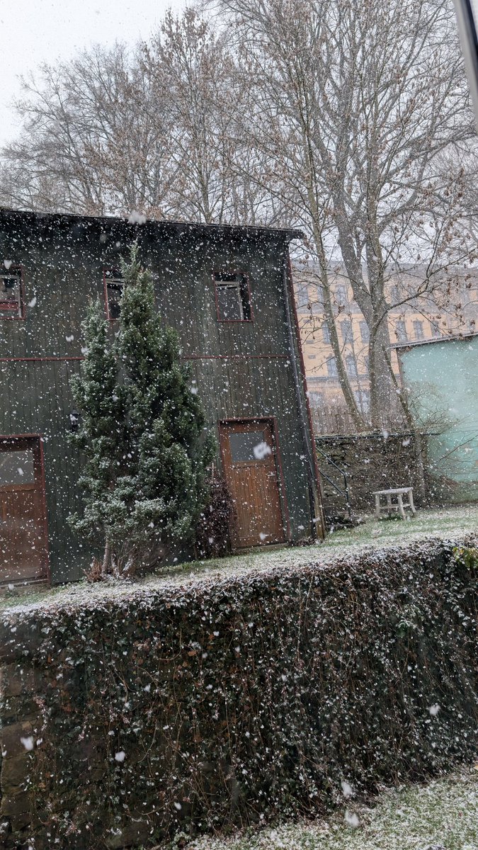 🐱Nadii tweet media