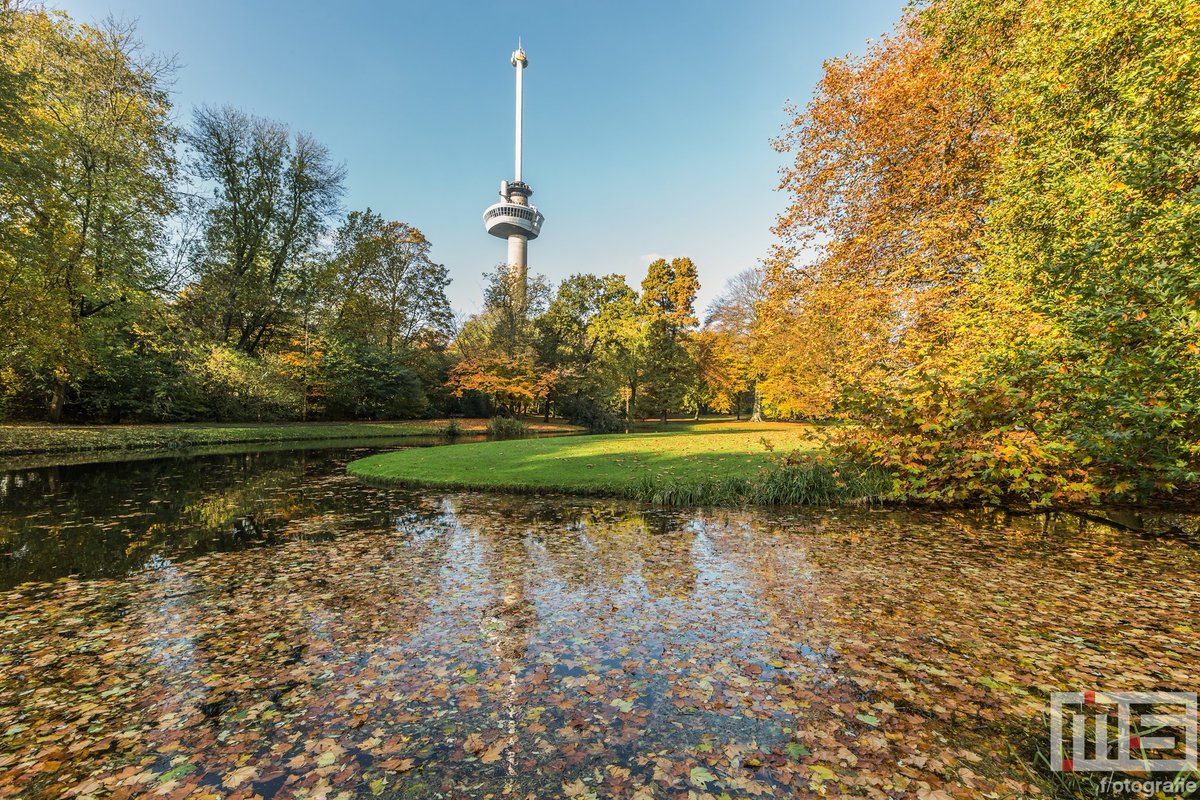 010byday's tweet image. Het #Park in #Rotterdam door @marcvanderstelt als afdruk op canvas of #print? Verkrijgbaar via shop.ms-fotografie.nl
.
.
.
#picfee #werkaandemuur #sfeeraandemuur #artheroes #benrobenelux #fujifilm #fujifilmnederland