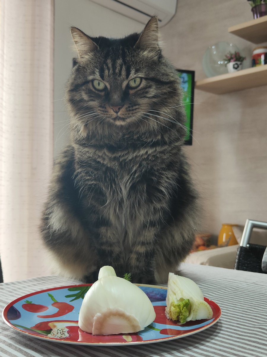 N_i_c_o_la's tweet photo. #Marla sei a dieta! https://t.co/dApTGMe79g