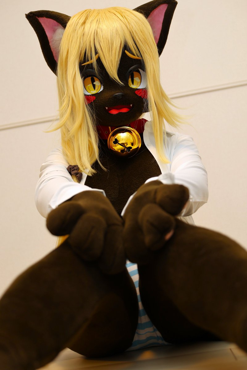 黒猫ちゃん tweet media