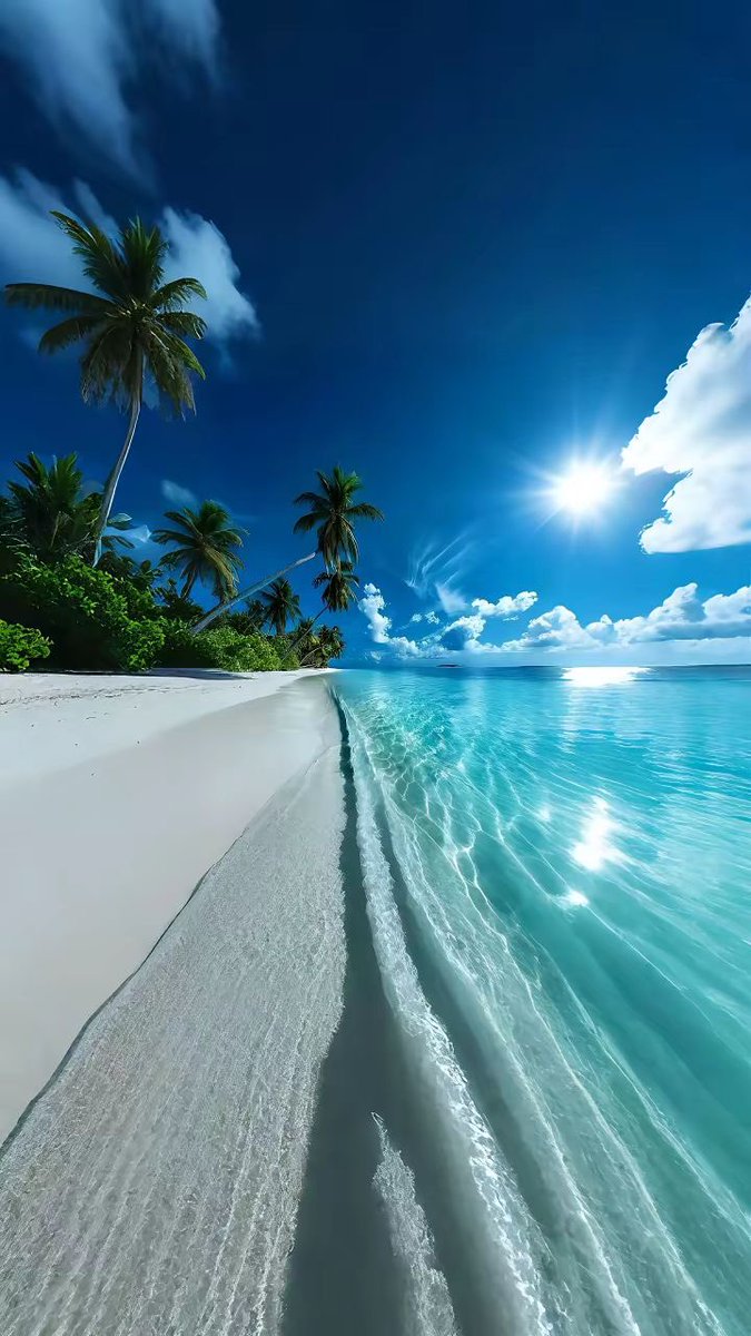 wavemood tweet media