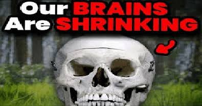 BOTAN, IS BACKTAN! tweet media