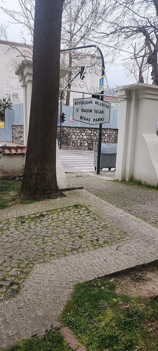 pasif samet tweet media