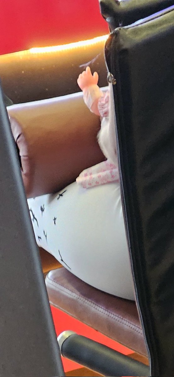 Pinguim do Cerrado tweet media