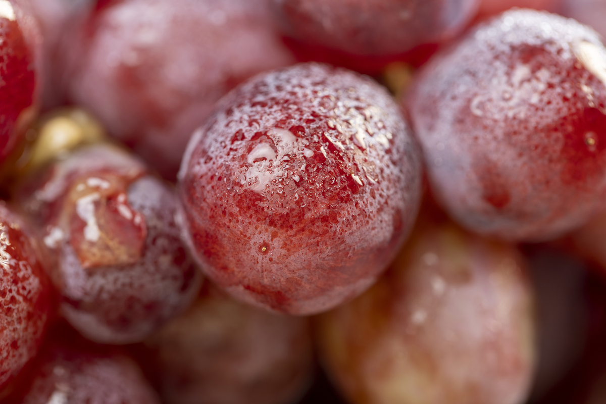 mayza ynara m r tweet media