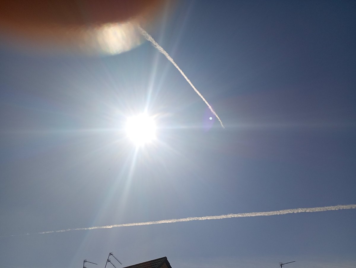 Adam Delf tweet media