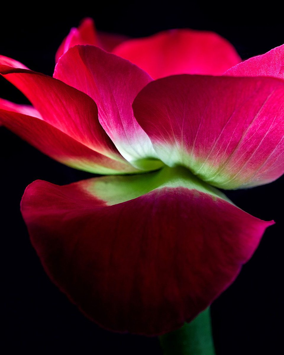 Joey Terrill tweet media