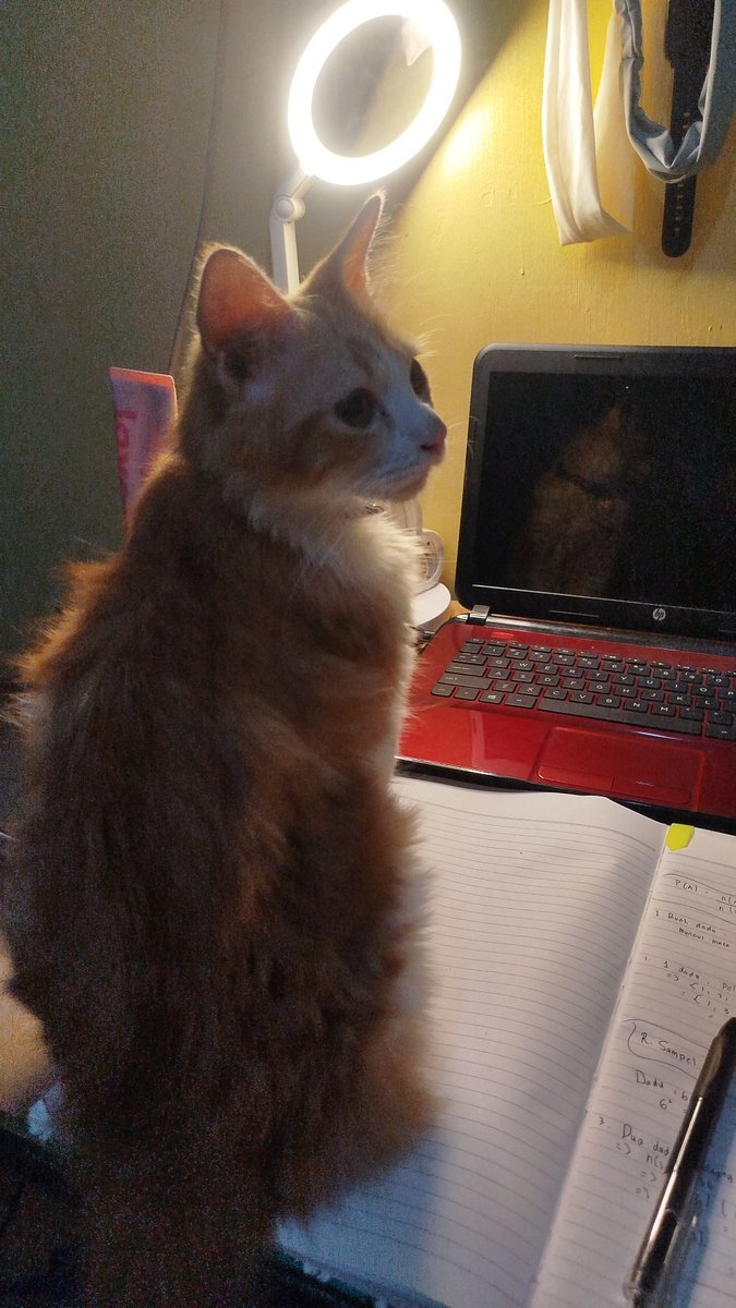 awaawa²⁶🐄 #lockin tweet media