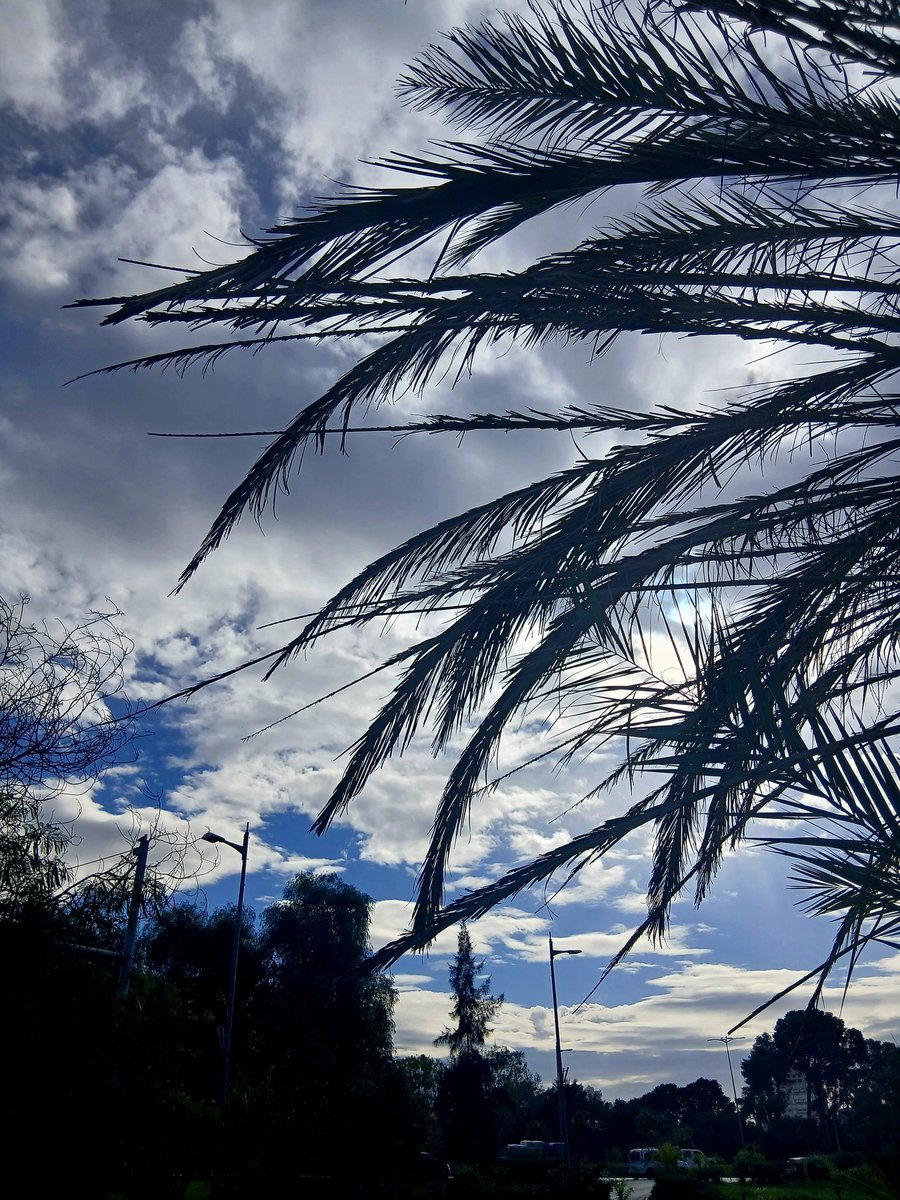 ๐ฉ๐ข๐ฅ๐ซ๐ฆ๐ณเผ
tweet media