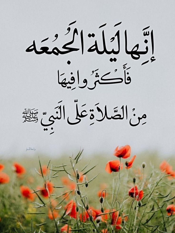 ( حنان قنديل) tweet media