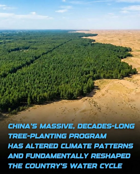 China's "Great Green Wall" is reshaping regional weather — marking a historic milestone as the first large-scale, intentional human-driven climate modification.

Through its decades-long reforestation effort, particularly the ambitious Three-North Shelter Forest Program, China