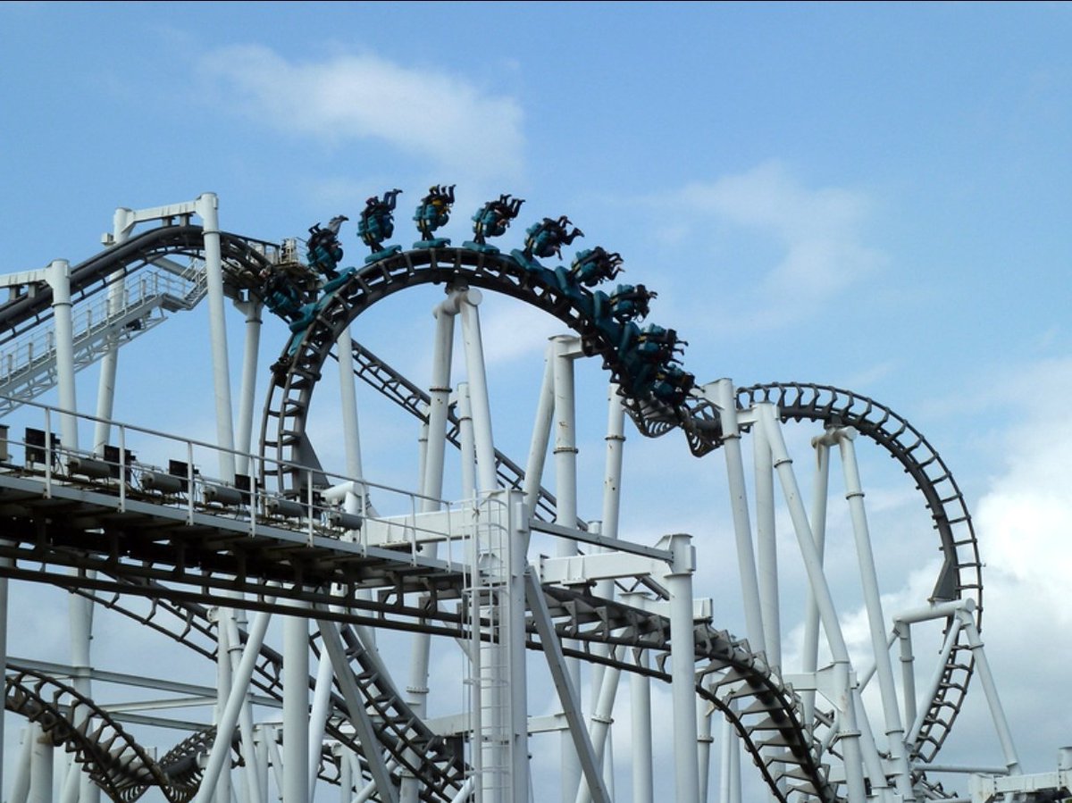 Stampida 305 tweet media