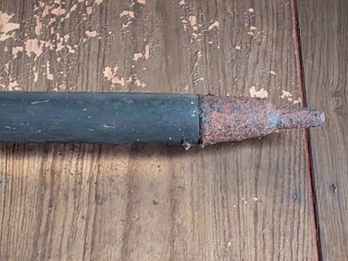 九条御前 tweet media