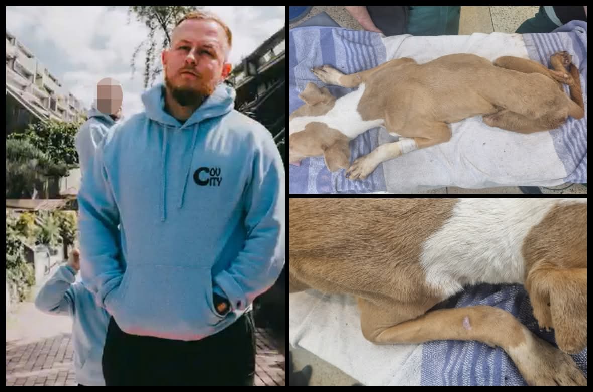 Steve Perkins tweet media