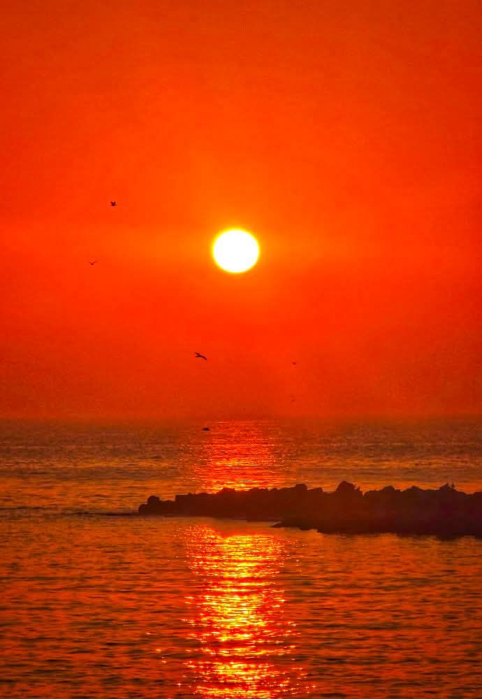 angelicaio81153's tweet image. Let the waves hit your feet, and the sunset hit your soul . 

Sunset Bird Over The Black Sea , Near Constanta Romania 
#artistic #photography #travelphotography