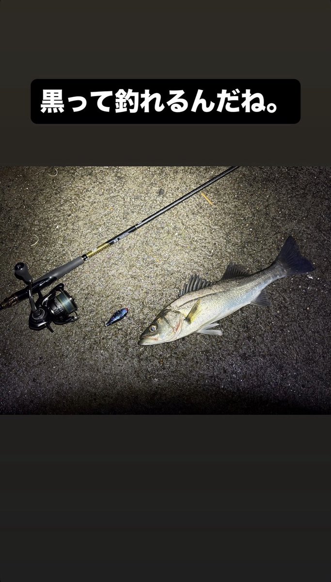 もんすけ tweet media