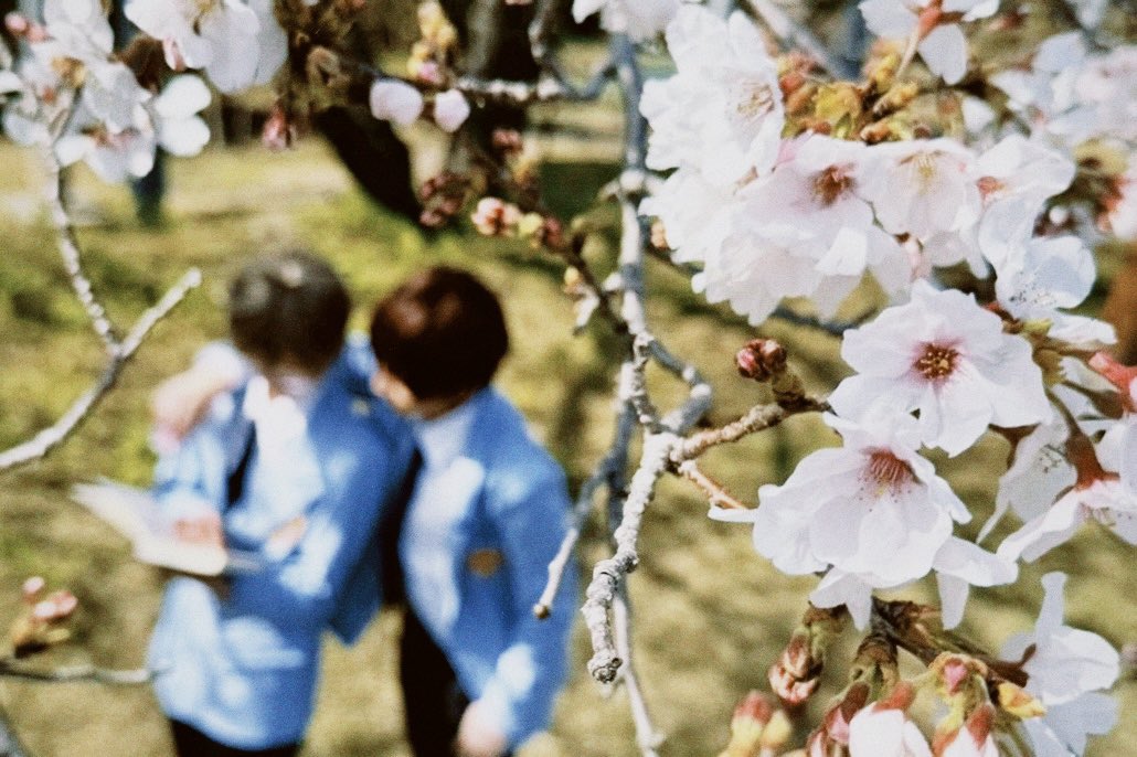 はなえ tweet media