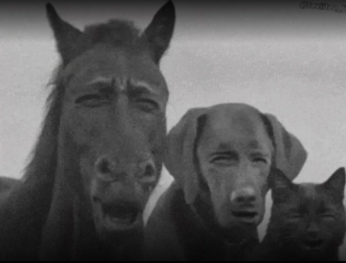 УСПЕХ tweet media