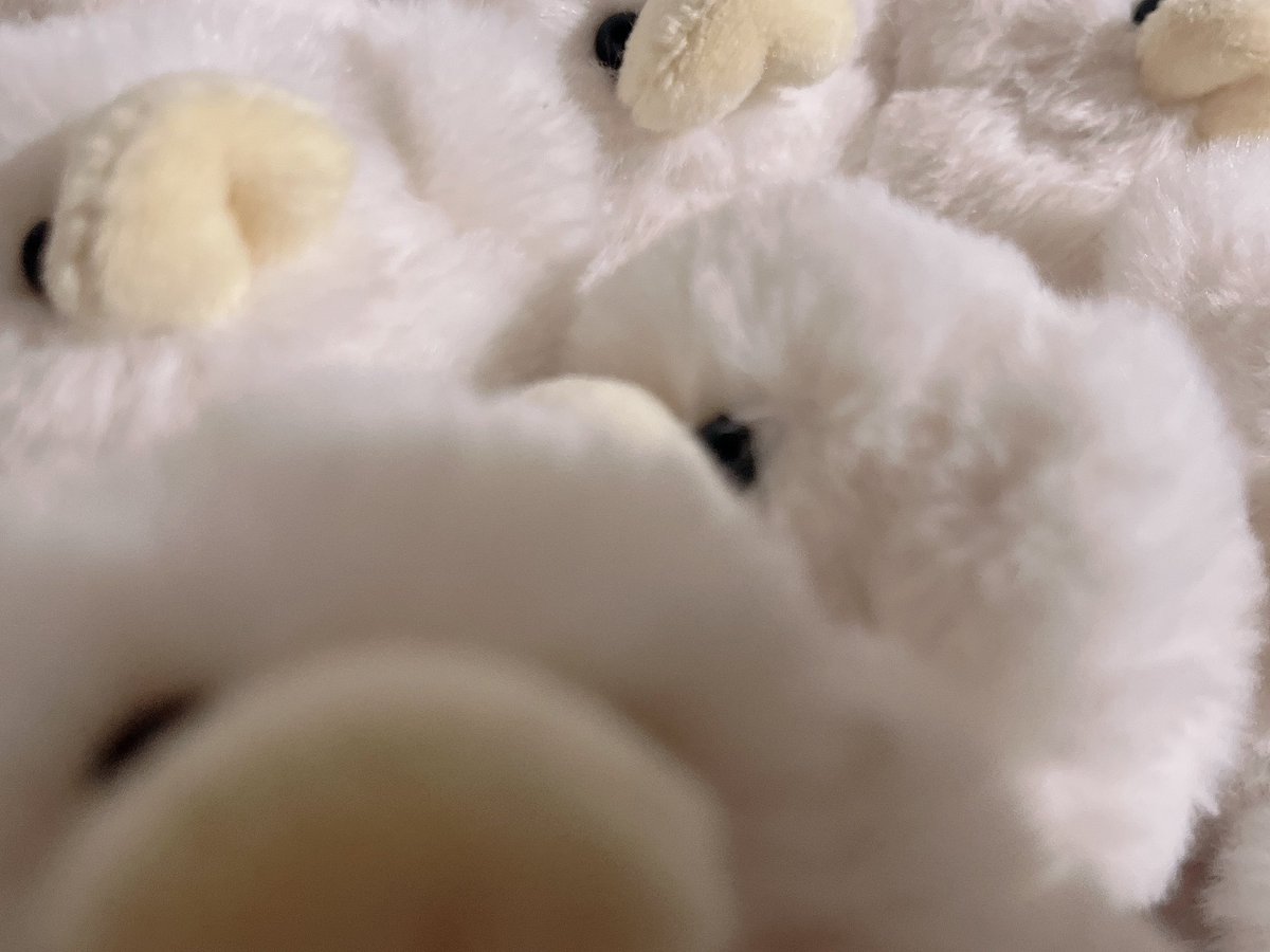 ___doudou_____'s tweet photo. https://t.co/7WjQSPimpC