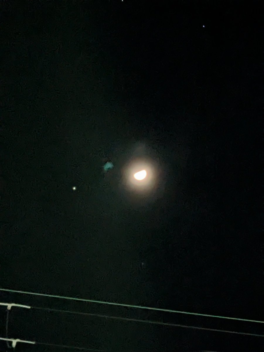 はち🍵 tweet media