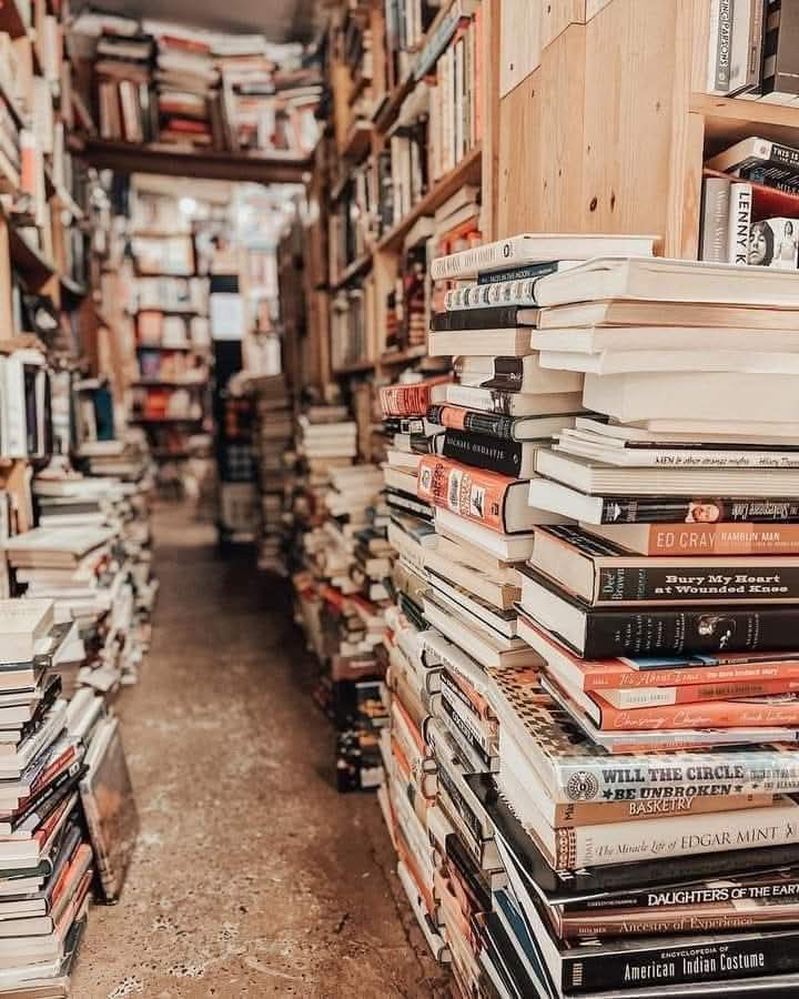 Sophia Proneikos tweet media