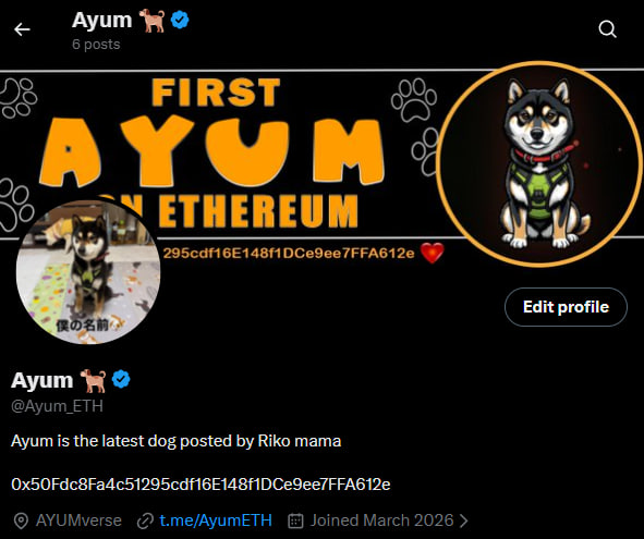 Ayum 🐕 tweet media