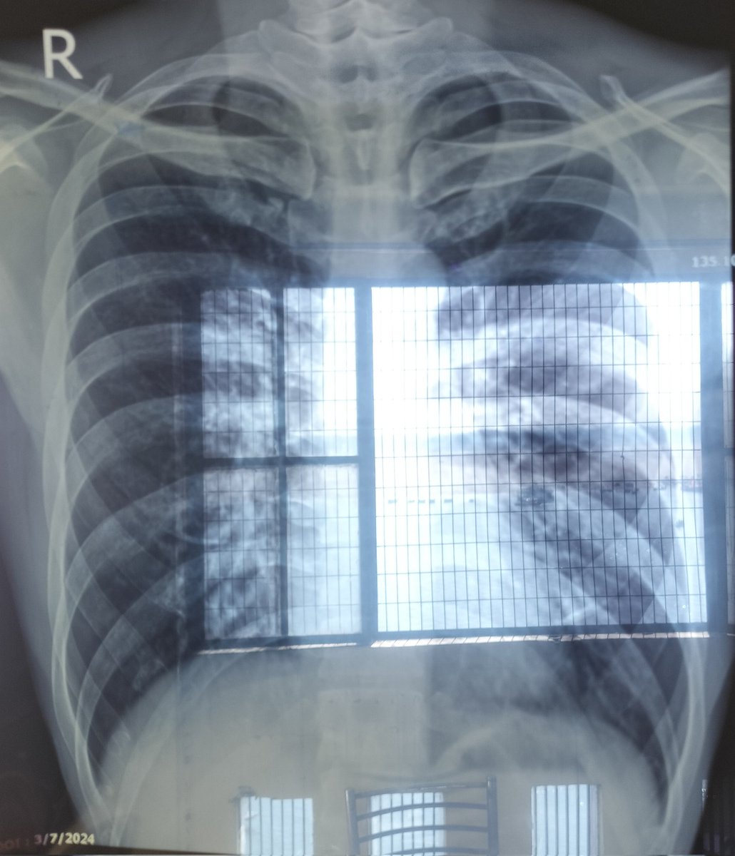 ドタバタ旅行記🇨🇳🇱🇦🇹🇭🇲🇾🇸🇬🇮🇩自転車旅@🇲🇾 tweet media