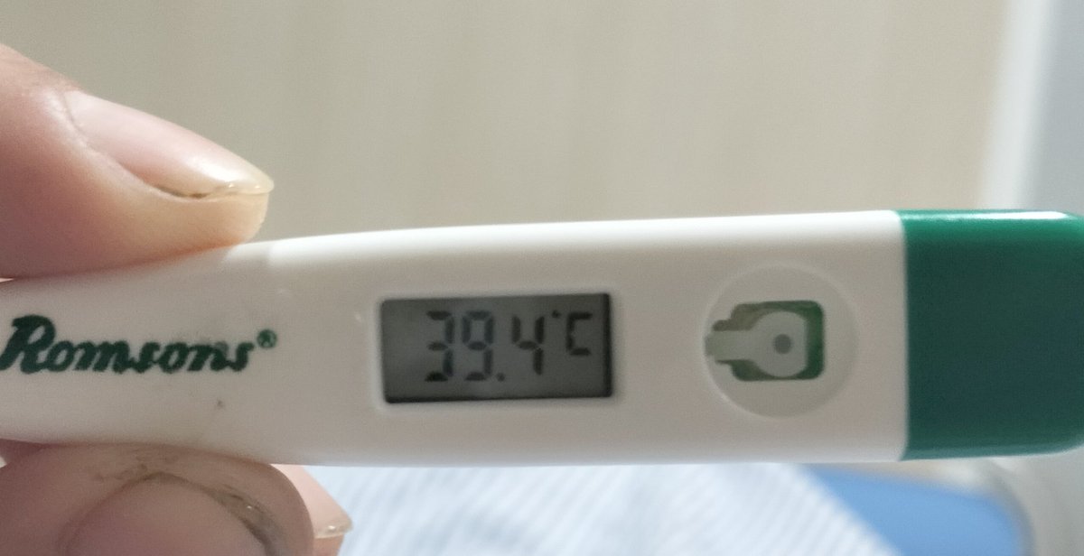 ドタバタ旅行記🇨🇳🇱🇦🇹🇭🇲🇾🇸🇬🇮🇩自転車旅@🇲🇾 tweet media