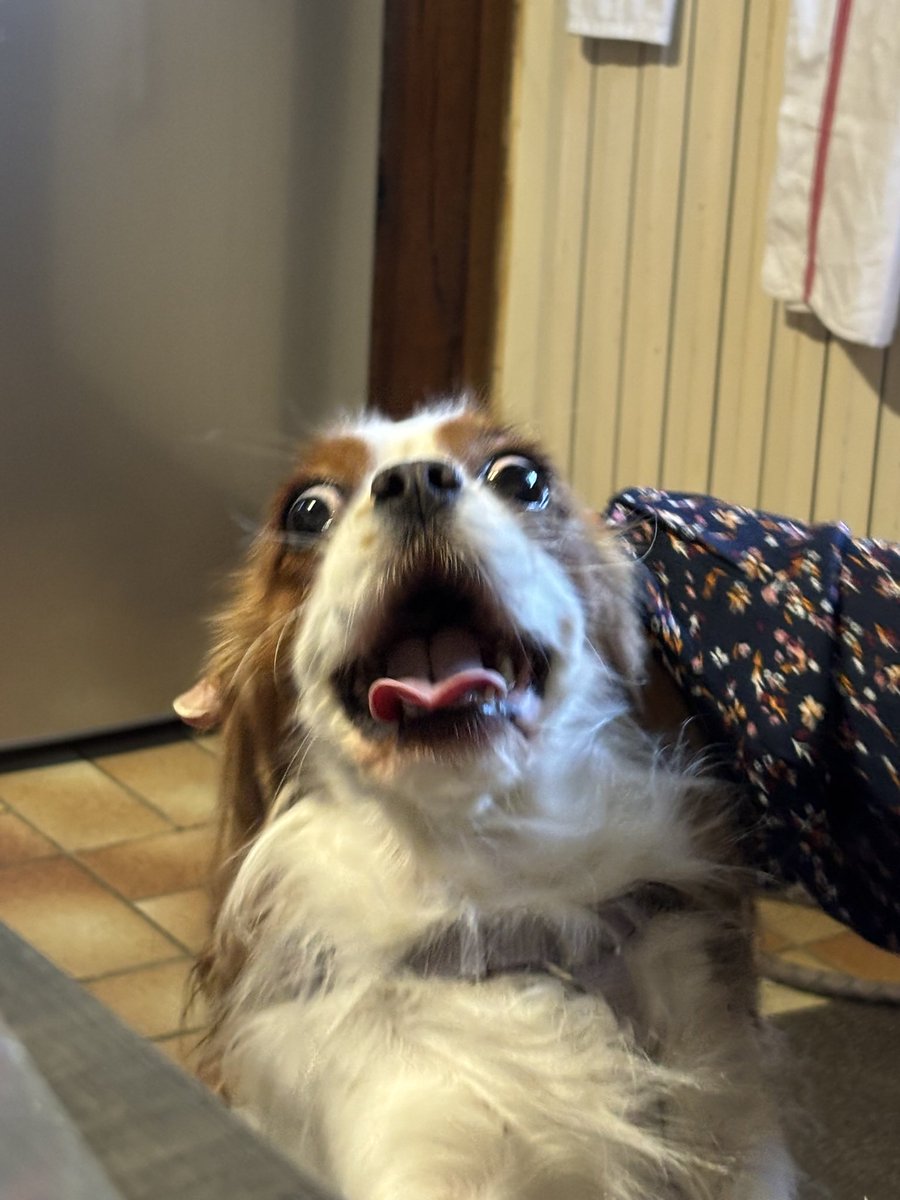 ajax ๑ï ༘⋆ tweet media