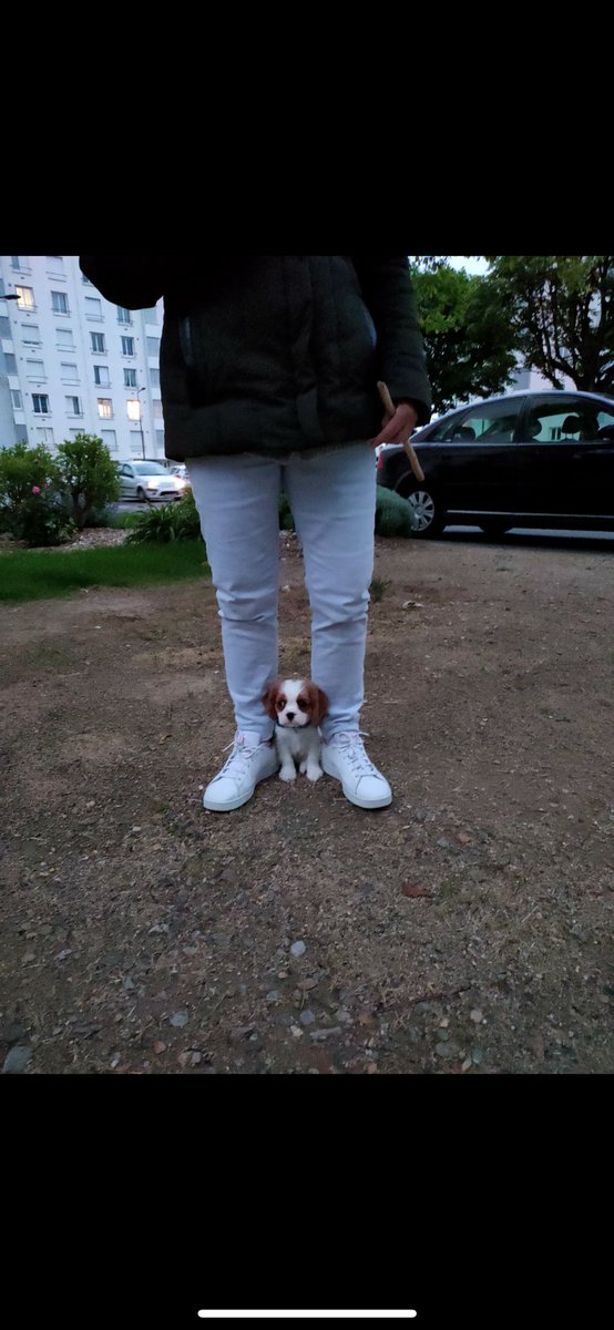 ajax ๑ï ༘⋆ tweet media