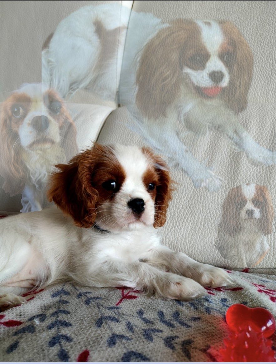 ajax ๑ï ༘⋆ tweet media