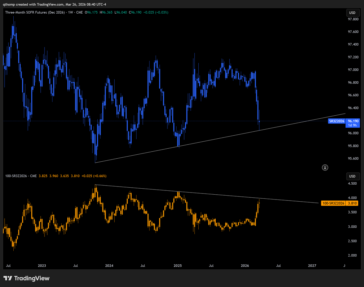 Quinn Thompson tweet media