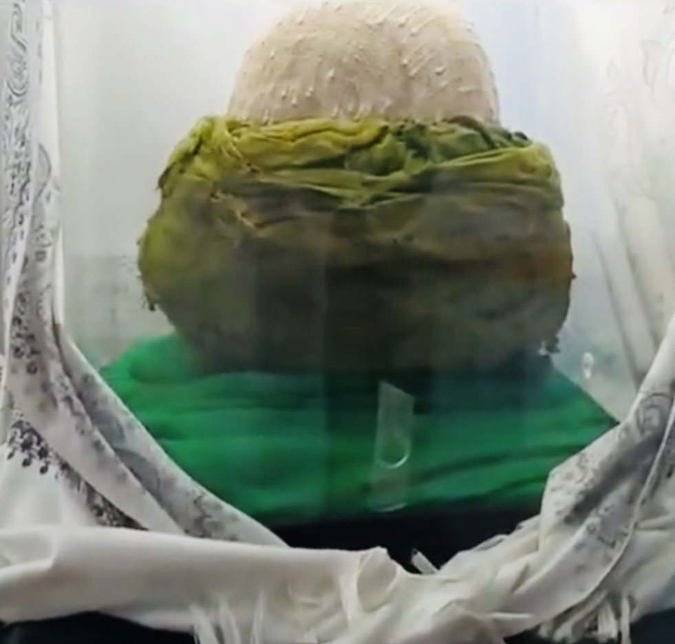 neyhane41 tweet media