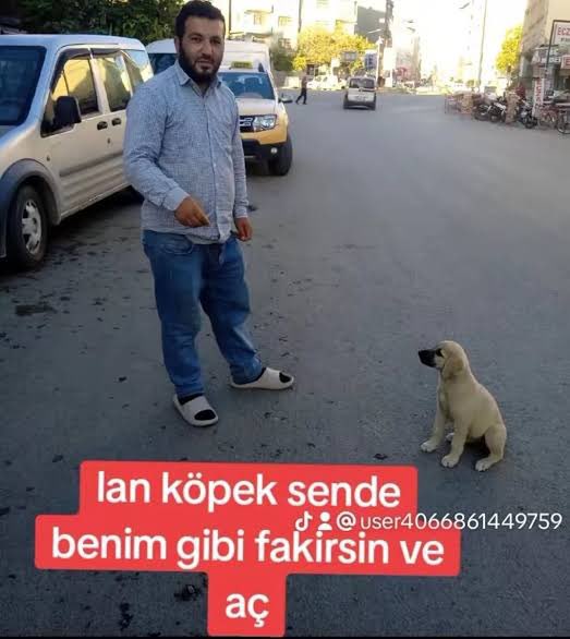 sarkıt koca mal tweet media