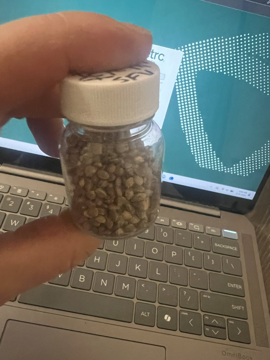 Ben_grows tweet media