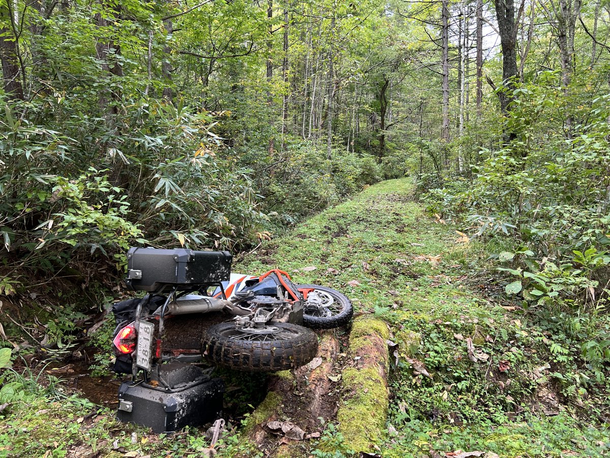 けみこ tweet media