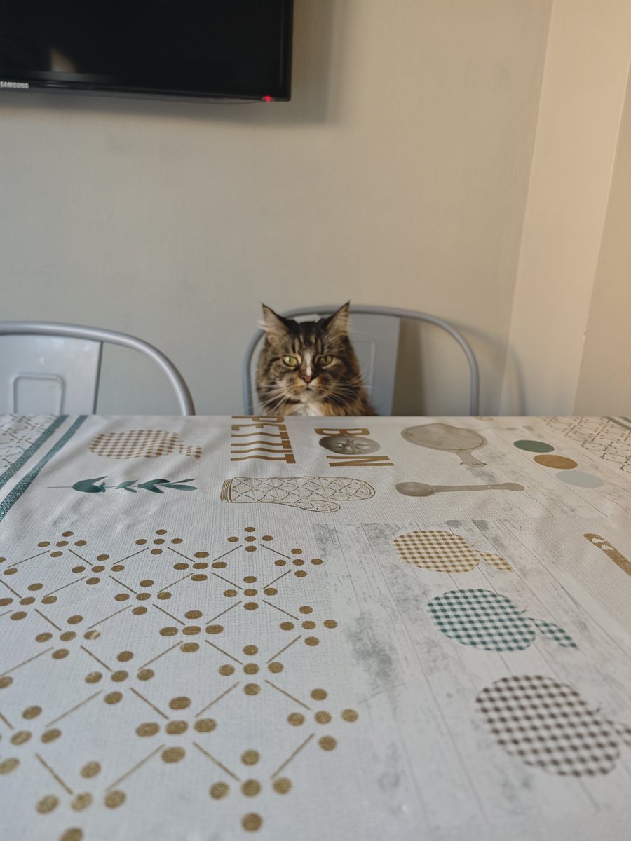 Nei Nei 🐱 De la colonia tweet media